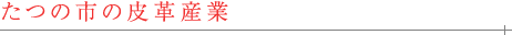 たつの市の皮革産業