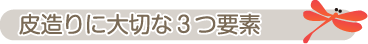 皮造りに大切な3つ要素