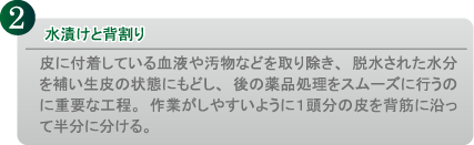 水漬けと背割り