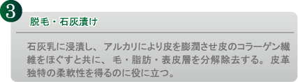 脱毛・石灰漬け