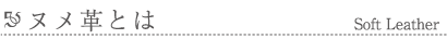 ヌメ革とは